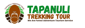 The Best Traveling in Tapanuli