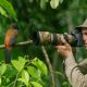 Birdwatching Tour At Tapanuli